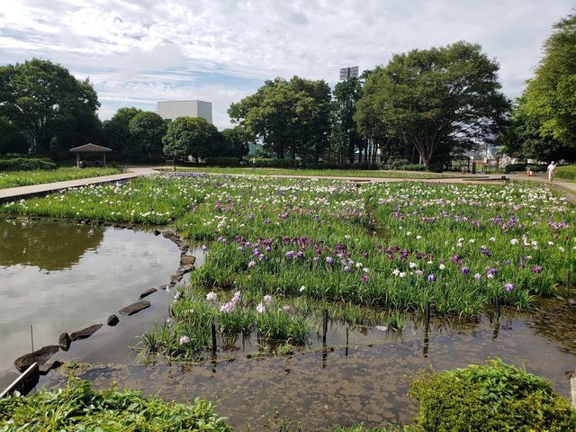 相模原公園