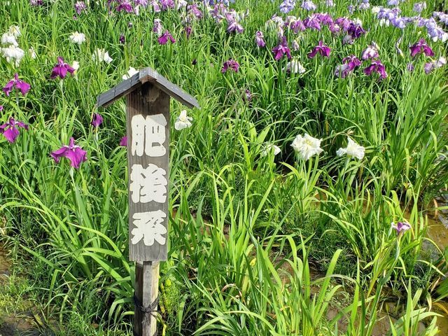 相模原公園