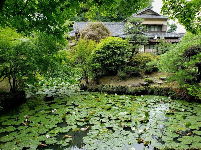 正覚寺