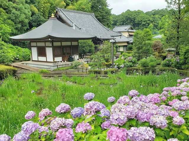 正覚寺