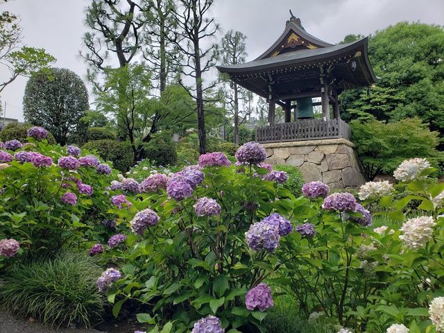 正覚寺