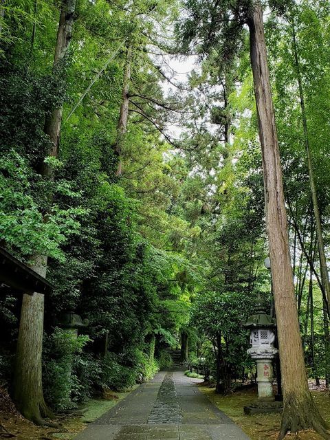 正覚寺