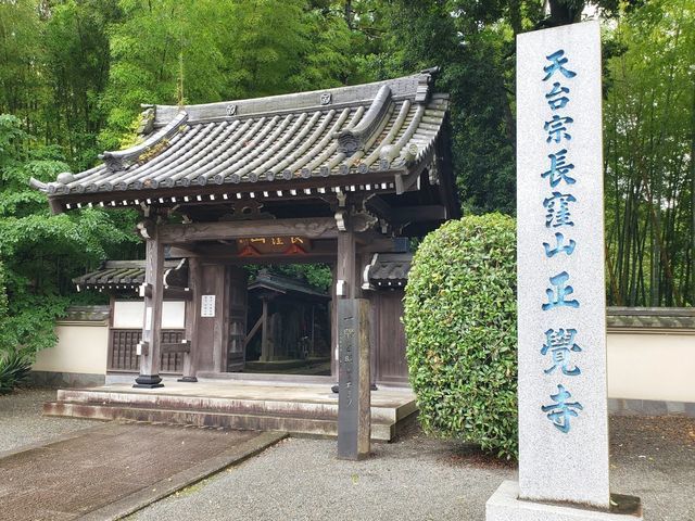 横浜 正覚寺 アジサイの季節が美しい 港北ニュータウン のお寺 ぶらりうぉーかー