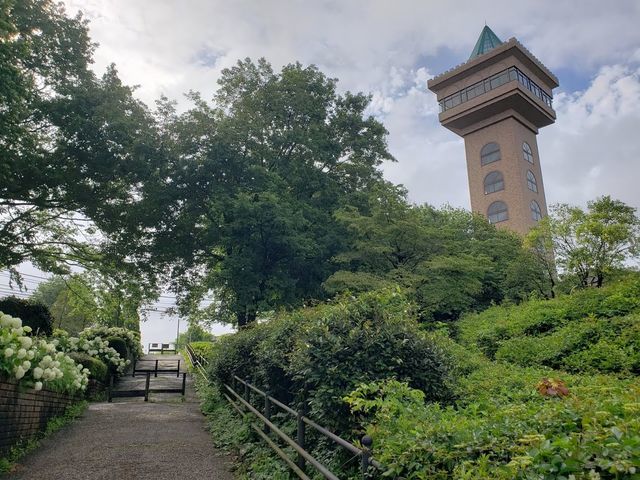 相模原麻溝公園