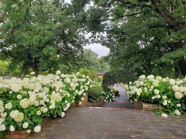 相模原麻溝公園