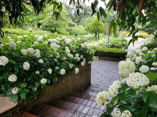 相模原麻溝公園