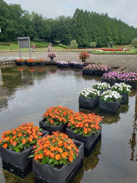 相模原公園