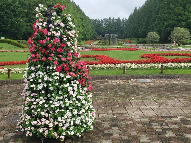 相模原公園