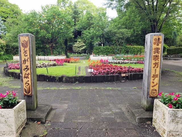 相模原公園