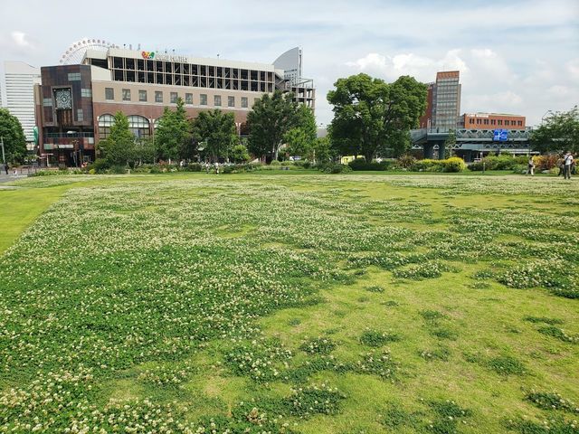 新港中央広場