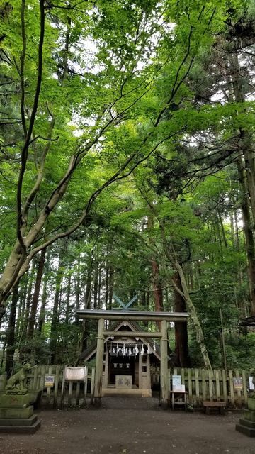 宝登山神社