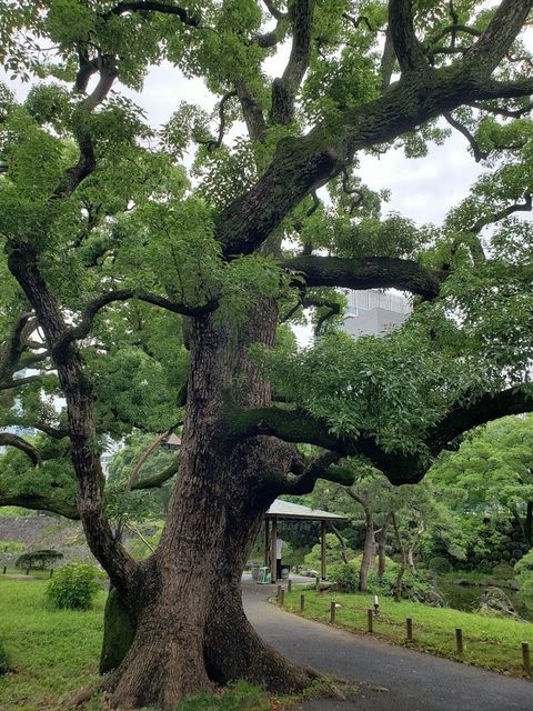 日比谷公園
