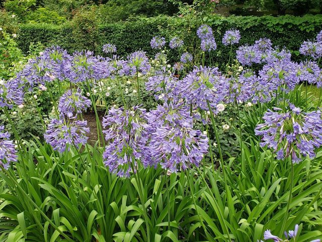 日比谷公園