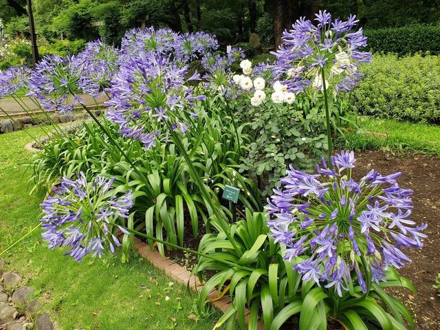 日比谷公園