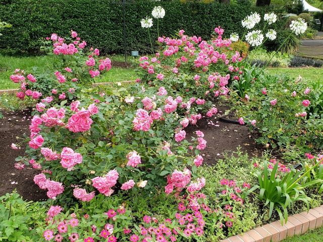 日比谷公園
