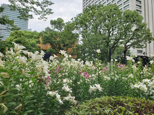 日比谷公園