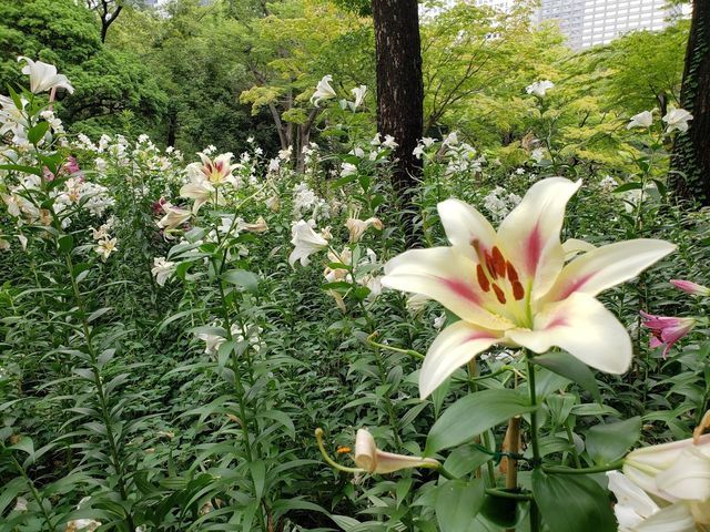 日比谷公園