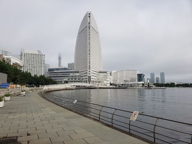 ハンマーヘッド
