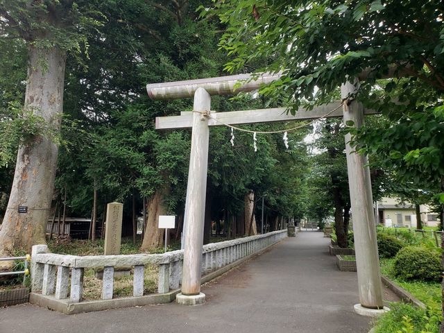 神奈川県大和市 深見神社】御神木が見事な相模国十三社の神社（神社