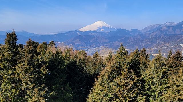 神奈川県 伊勢原 秦野のプチ旅 神社と巨木と展望台をめぐるドライブ ぶらりうぉーかー