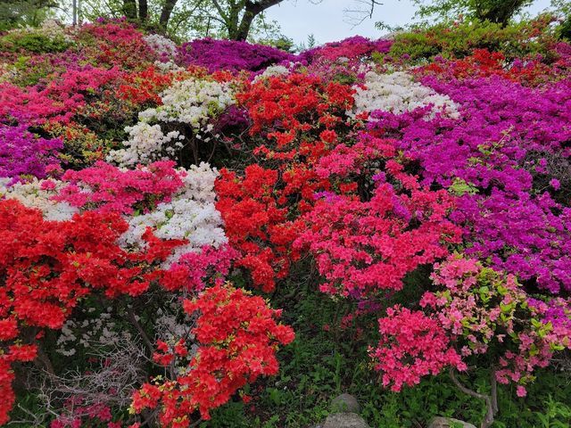 花台 FANUC Robot CRX-10iA,10iA/L専用架台| 小型ロボット専用アルミ架台