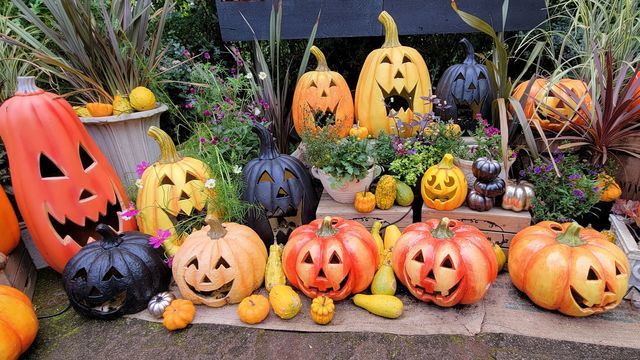 シーズン雑貨＞ハロウィン – Heartful Country ハロウィンパンプキンリース - ハロウィン 秋 カエデの葉 リース - ドアハンガー ガーランド 秋のカラフルな装飾 バルコニー 壁