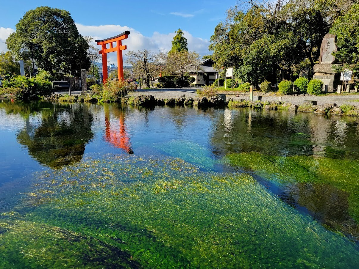 富士山本宮浅間大社｜富士宮市｜神社｜観光｜chafuka