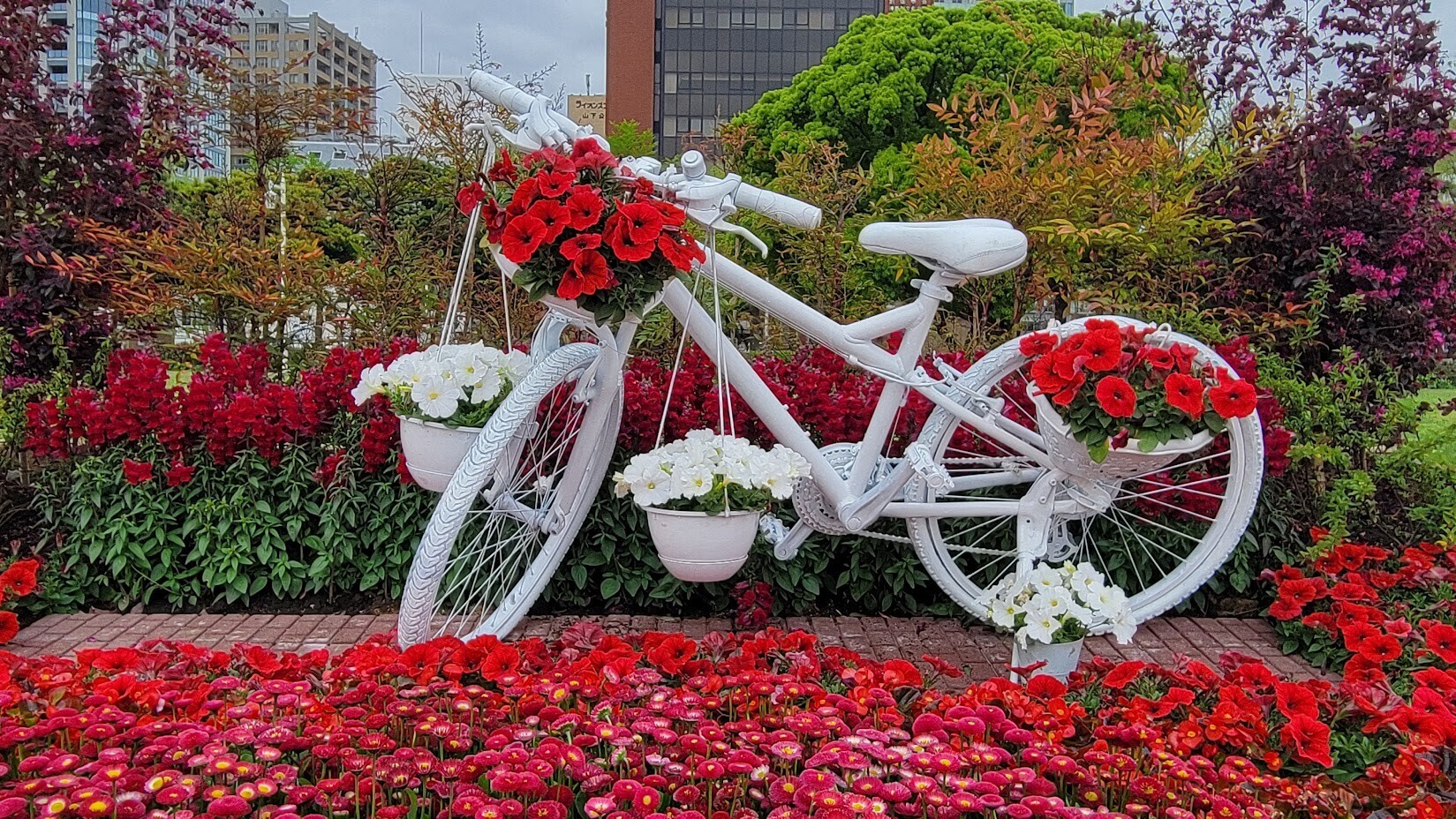 よこはま花と緑のスプリングフェア2024・花壇展』観賞【山下公園