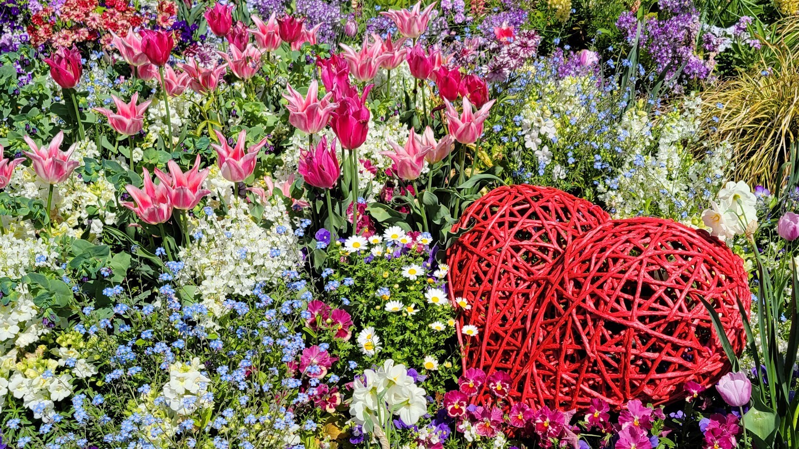 2025年春『里山ガーデンフェスタ』開催【ガーデンネックレス横浜2025