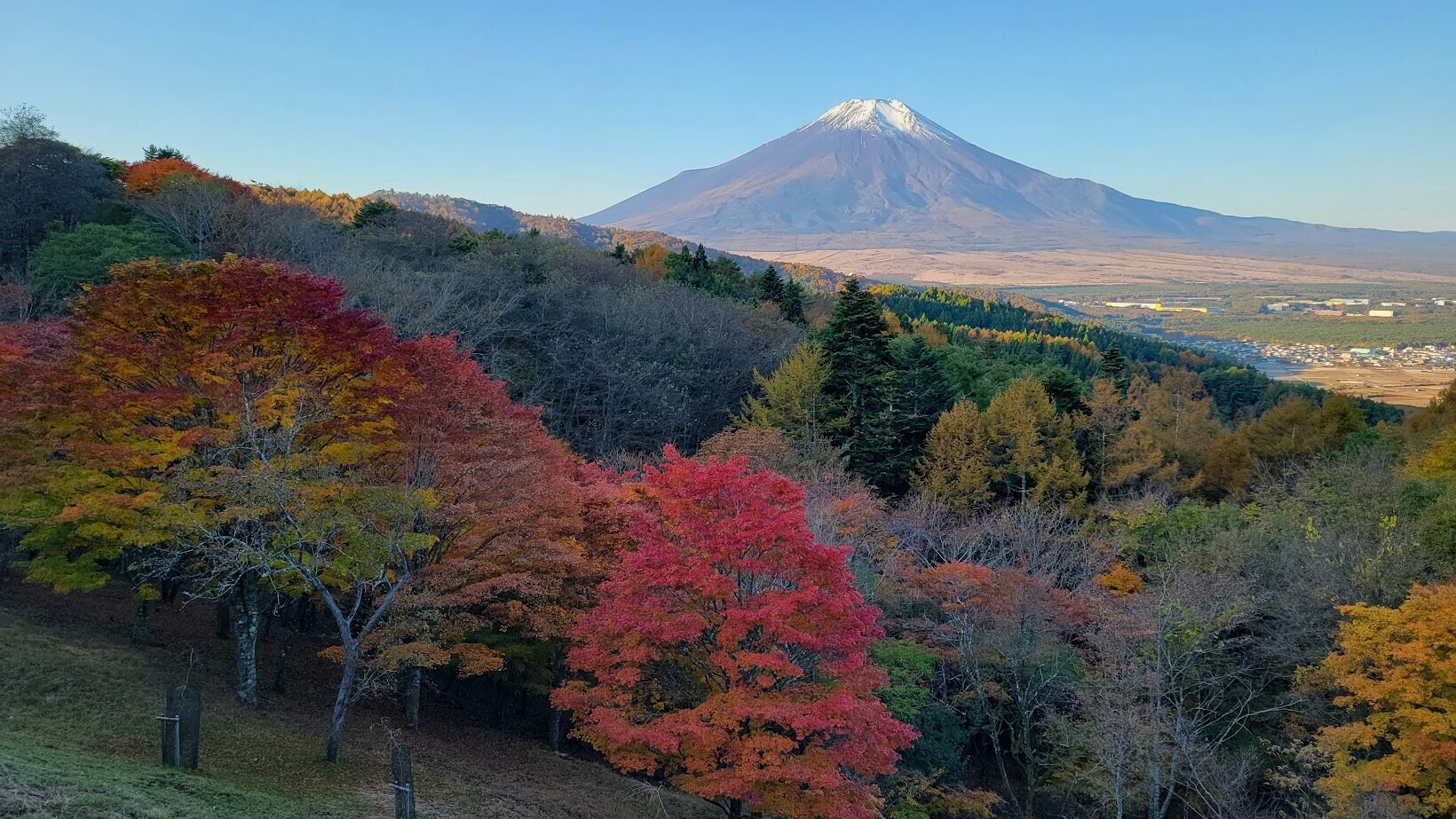 二十曲峠展望テラス～SORA no IRO】紅葉と富士山の絶景コラボ！～忍