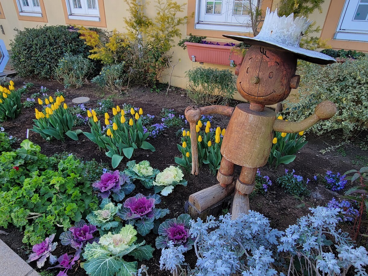 長井海の手公園 ソレイユの丘】満開の菜の花と絶景の相模湾を見に行