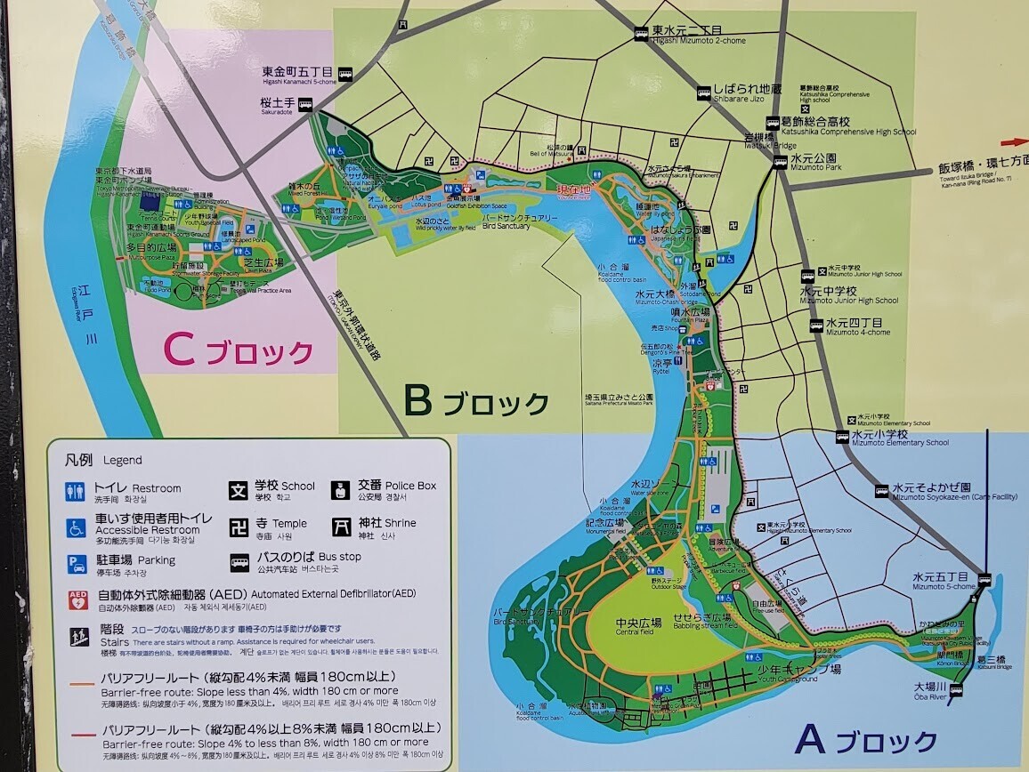 水元公園】花菖蒲が見頃の「水郷の公園」を散策しよう！ - ぶらりうぉ