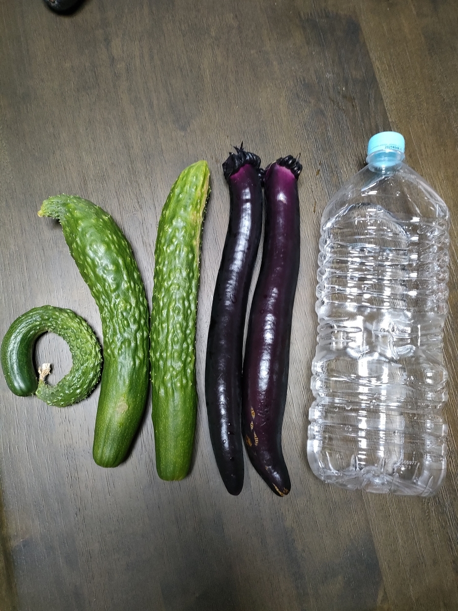 野菜画像