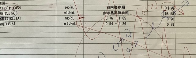 f:id:burikun:20200720161119j:plain