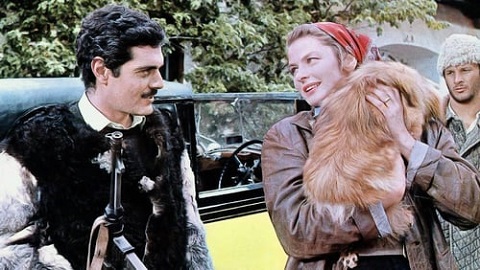 f:id:burizitto:20191106215436j:plain