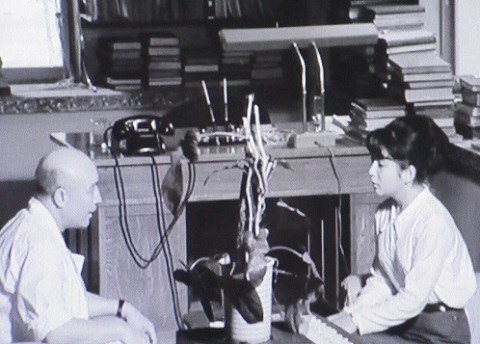 f:id:burizitto:20200901224702j:plain f:id:burizitto:20200901224702j:plain