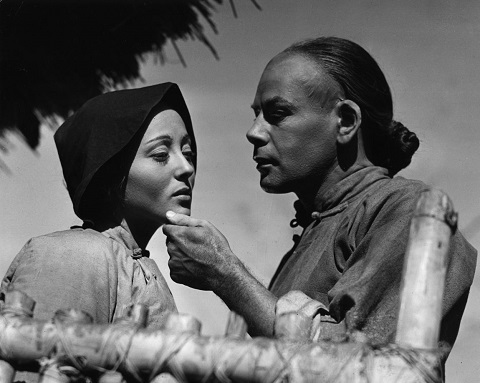 大地 1937 星屑シネマ