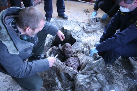 f:id:burizitto:20201202215433j:plain