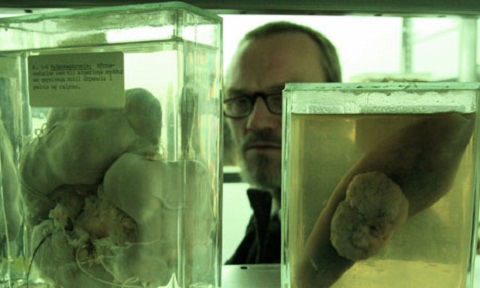 f:id:burizitto:20201202215454j:plain