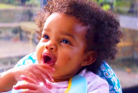 f:id:burizitto:20210611204444j:plain