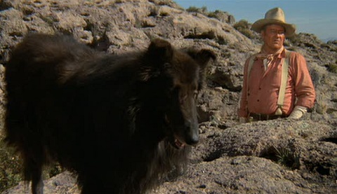 f:id:burizitto:20210801202817j:plain