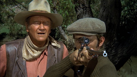 f:id:burizitto:20210801202906j:plain