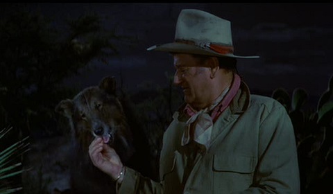 f:id:burizitto:20210801203002j:plain