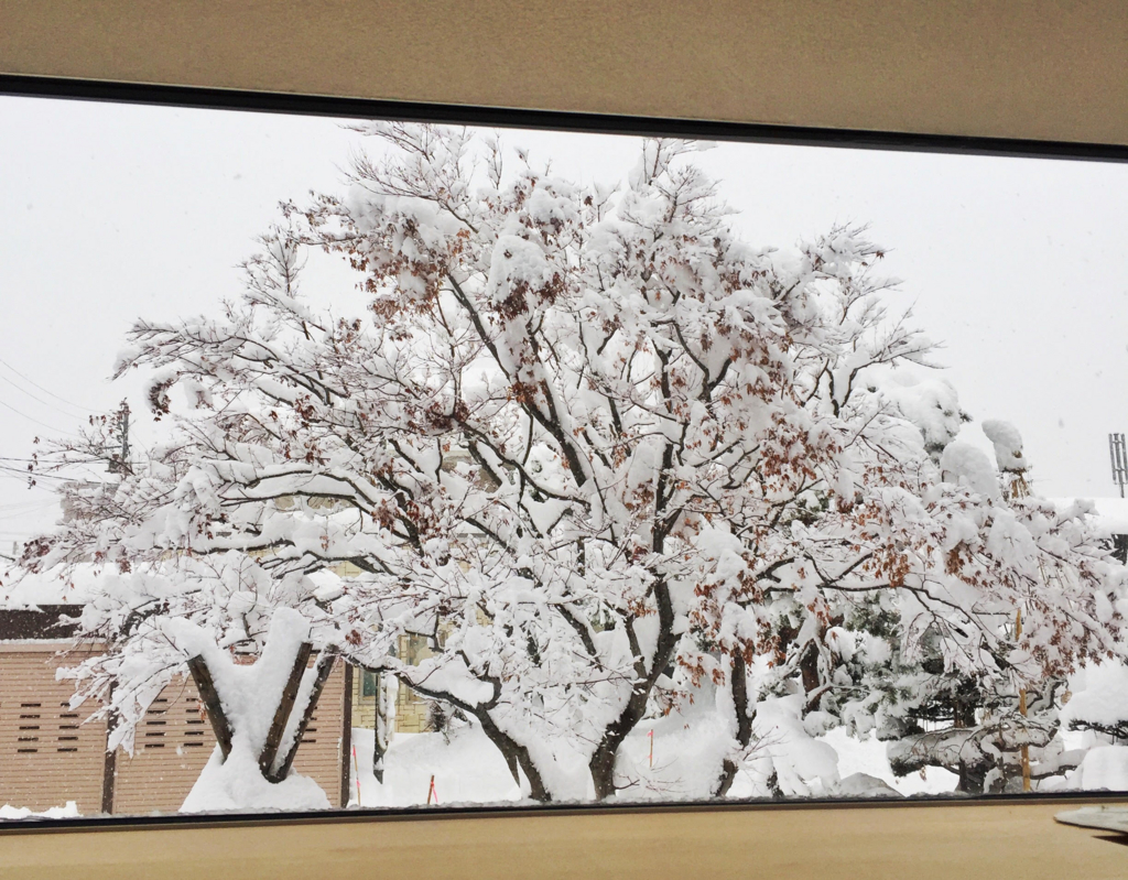 f:id:burning0069:20161224193300j:plain f:id:burning0069:20161224193300j:plain