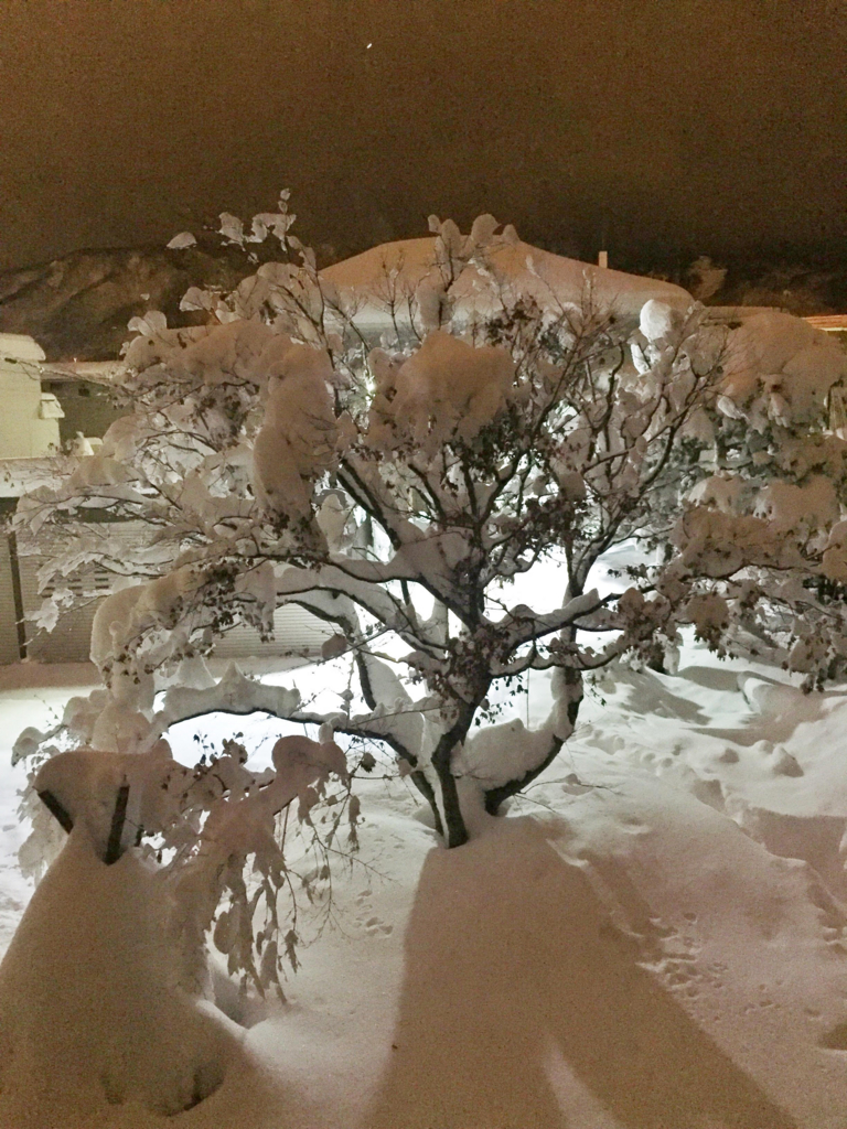 f:id:burning0069:20161224193457j:plain f:id:burning0069:20161224193457j:plain