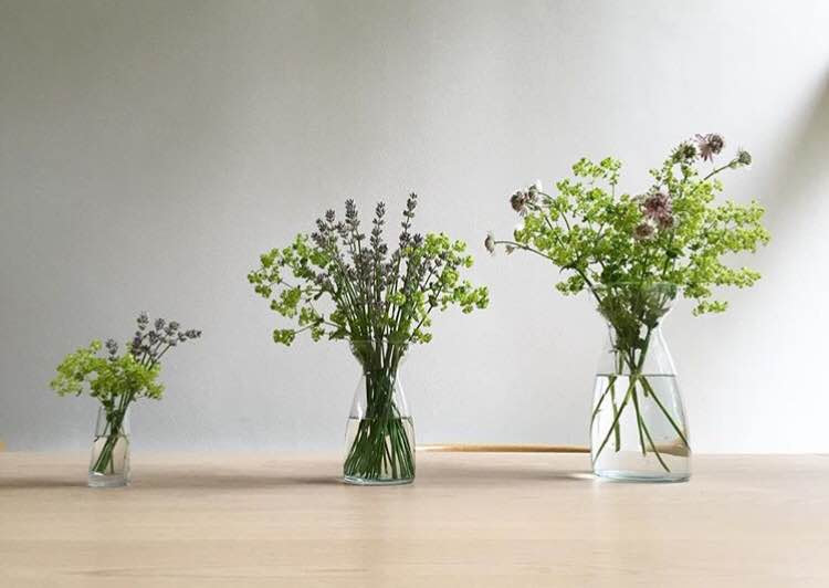 f:id:burning0069:20161229091212j:plain