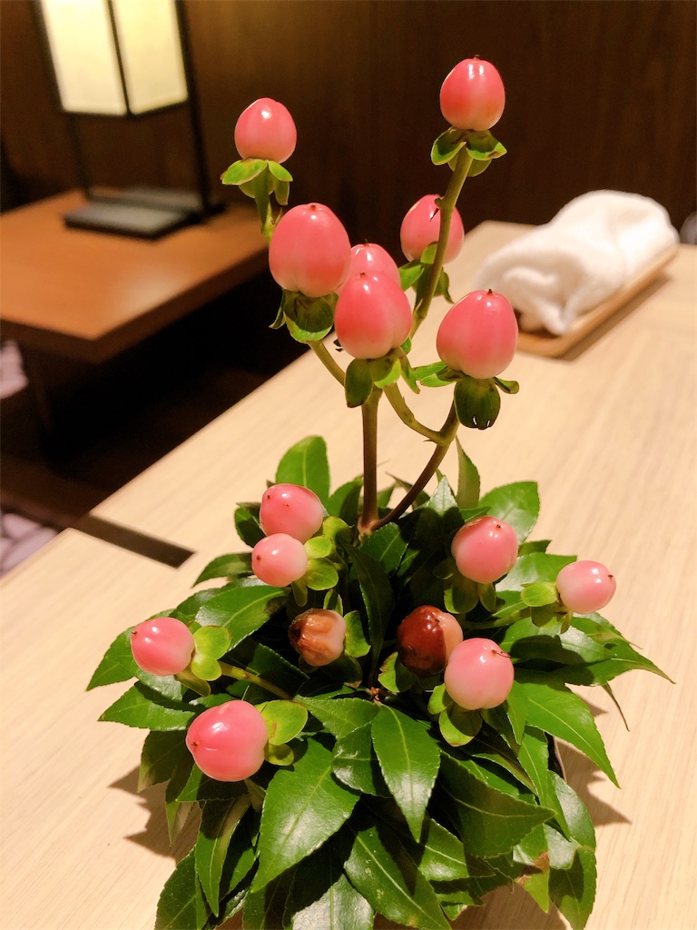 f:id:burumabukimidobby:20191113091356j:image