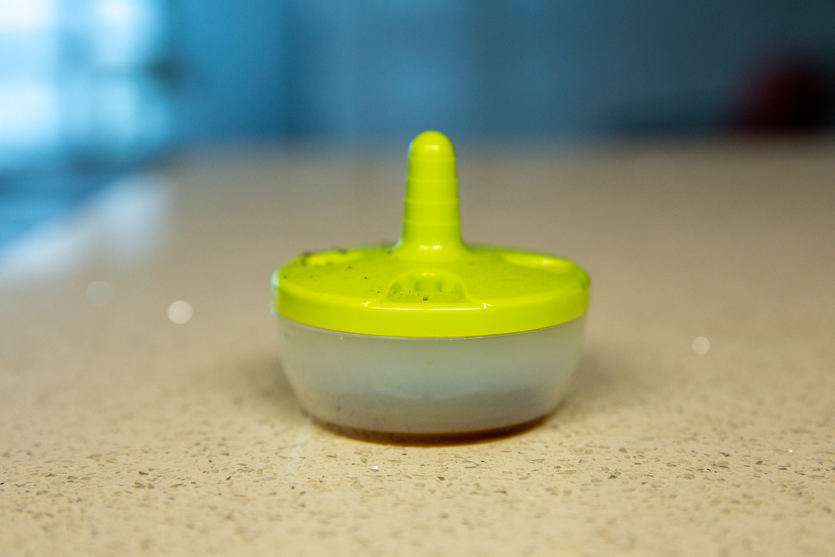 コバエ どこから侵入してくるの 外国で生活することになりました