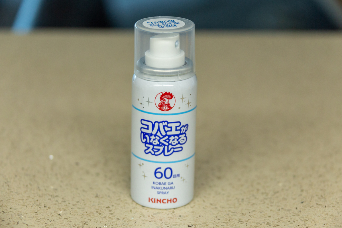 コバエ どこから侵入してくるの 外国で生活することになりました