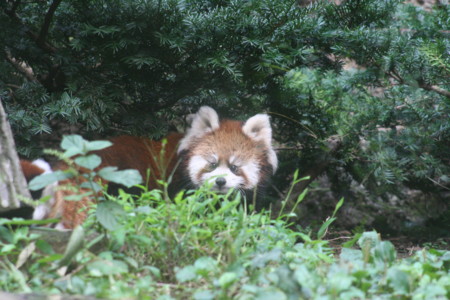 f:id:bushinXXX:20101003150428j:image